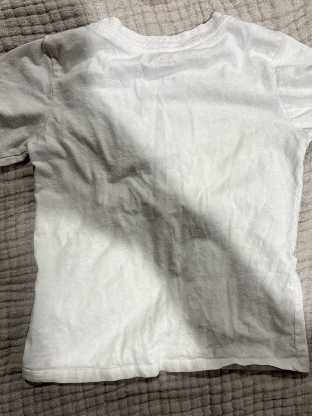 Disney White Tee with Colorful Classic Dog Characters